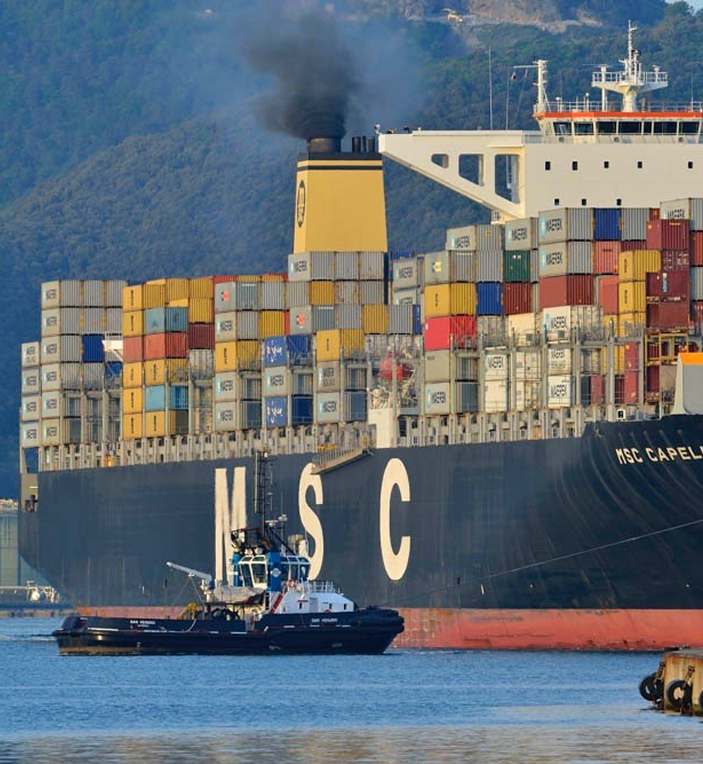 msc