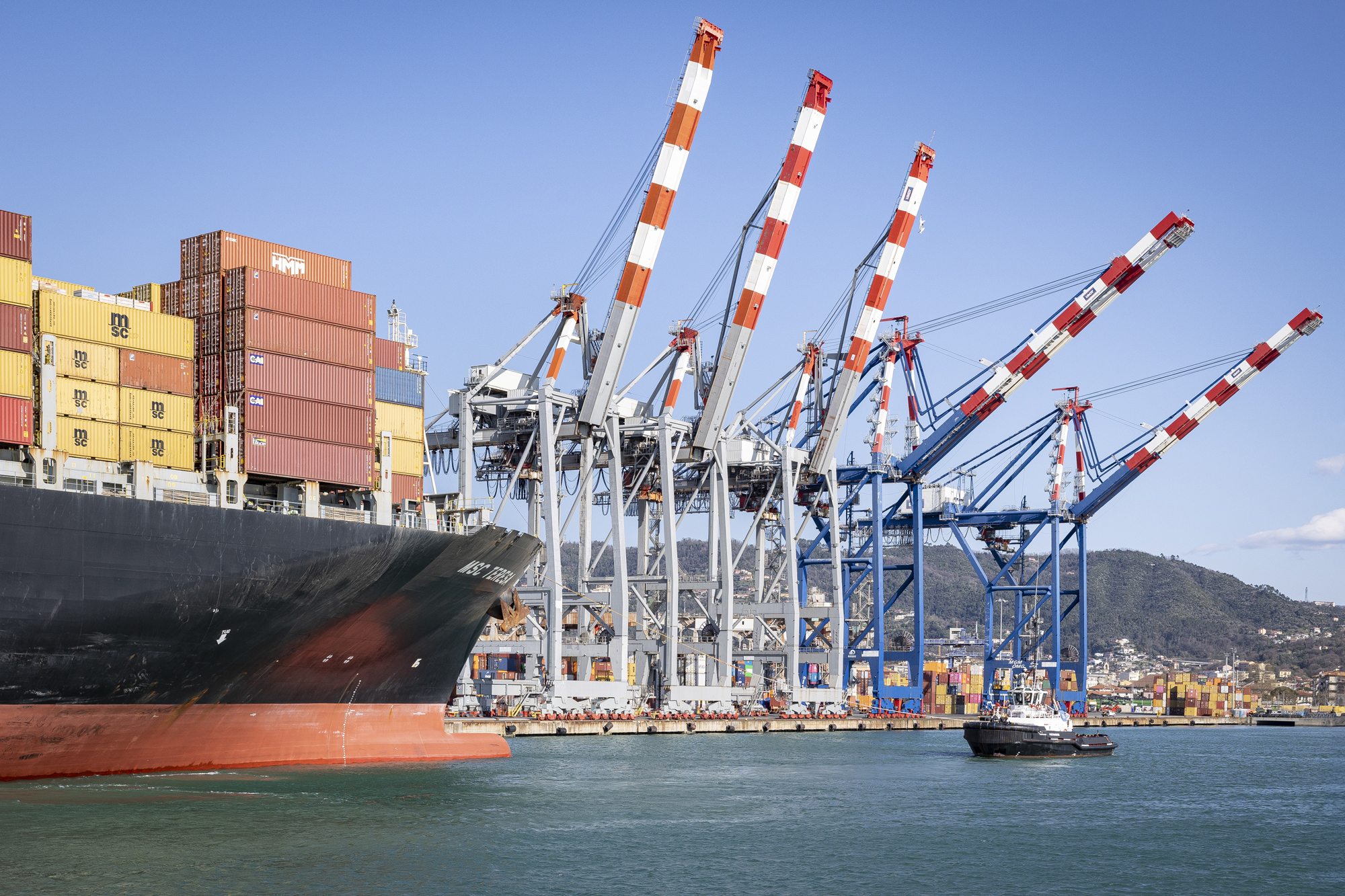 Scafi_01SP 017_services or cover picture.jpg