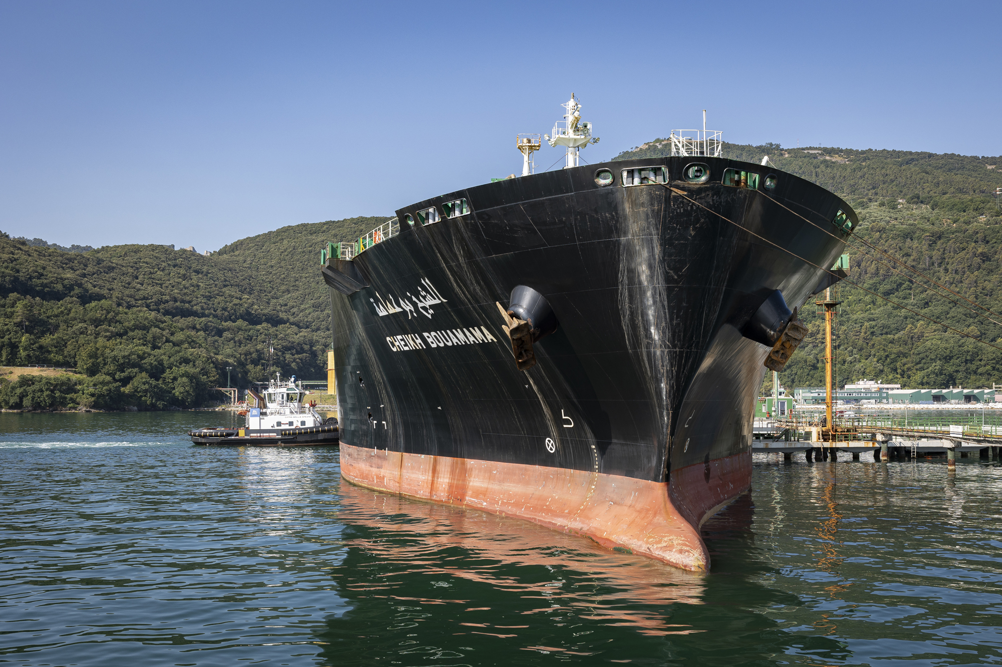 Scafi_01SP2 009_lng.jpg