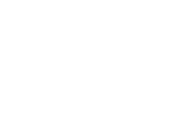 carmelo noli logo