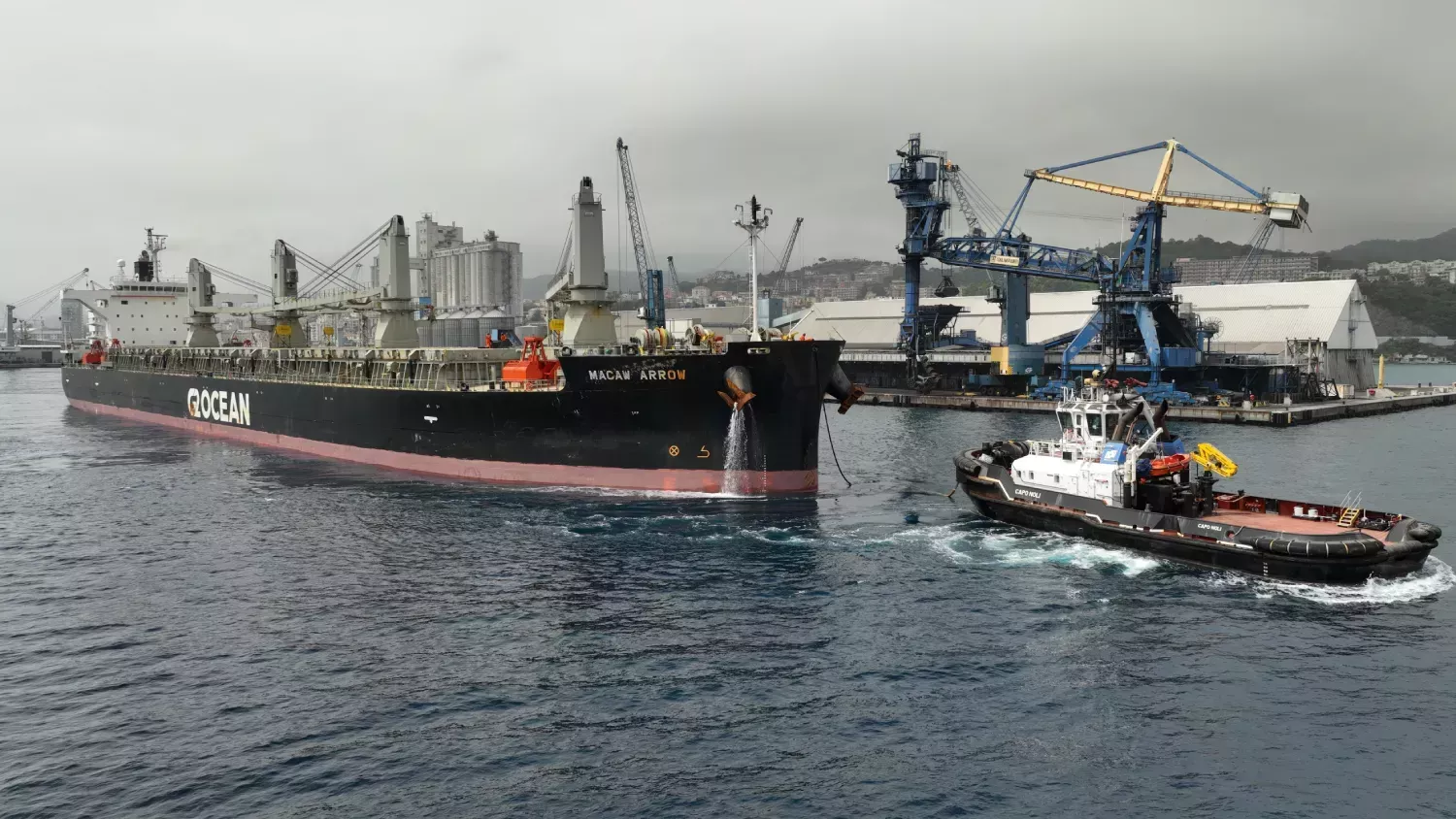 bulk carrier harbour towage operation