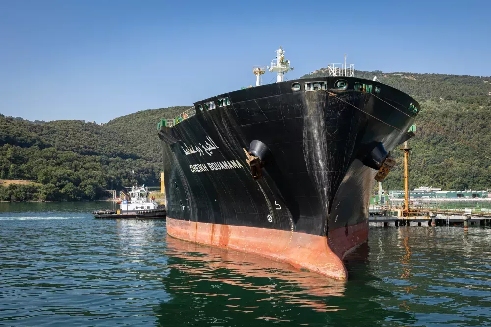 LNG harbour towage operation